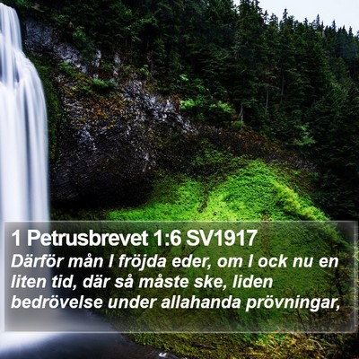 1 Petrusbrevet 1:6 SV1917 Bible Verse Image