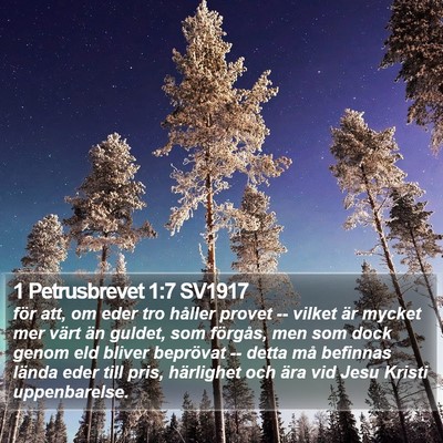 1 Petrusbrevet 1:7 SV1917 Bible Verse Image