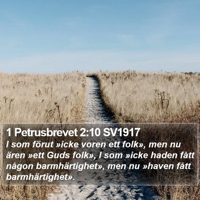 1 Petrusbrevet 2:10 SV1917 Bible Verse Image