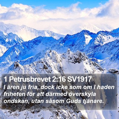 1 Petrusbrevet 2:16 SV1917 Bible Verse Image