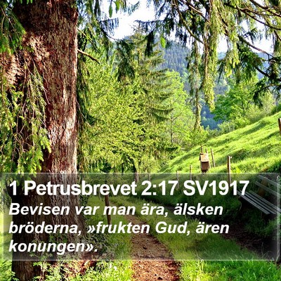 1 Petrusbrevet 2:17 SV1917 Bible Verse Image