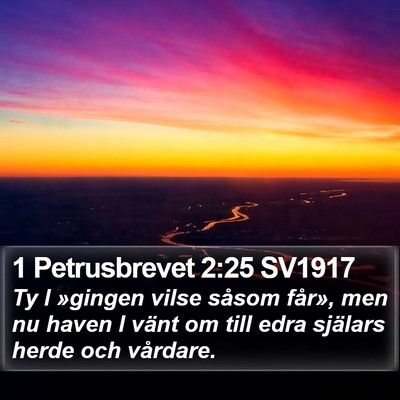1 Petrusbrevet 2:25 SV1917 Bible Verse Image