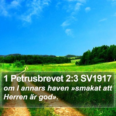 1 Petrusbrevet 2:3 SV1917 Bible Verse Image