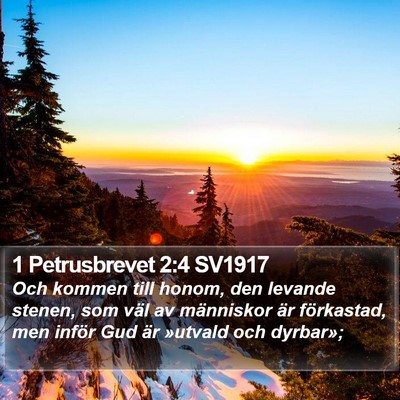 1 Petrusbrevet 2:4 SV1917 Bible Verse Image