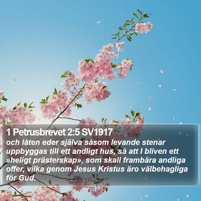 1 Petrusbrevet 2:5 SV1917 Bible Verse Image