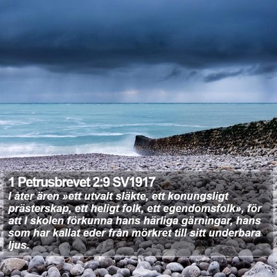 1 Petrusbrevet 2:9 SV1917 Bible Verse Image