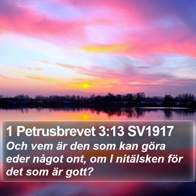 1 Petrusbrevet 3:13 SV1917 Bible Verse Image