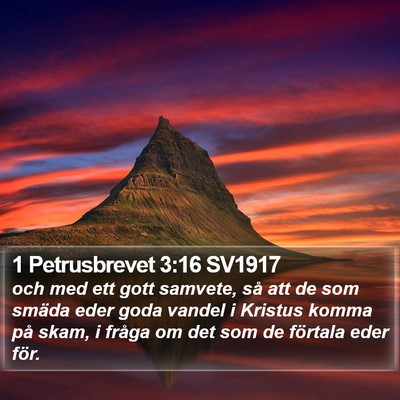 1 Petrusbrevet 3:16 SV1917 Bible Verse Image
