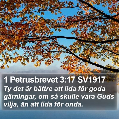 1 Petrusbrevet 3:17 SV1917 Bible Verse Image