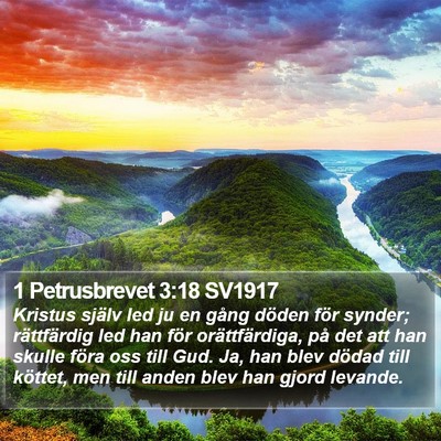 1 Petrusbrevet 3:18 SV1917 Bible Verse Image