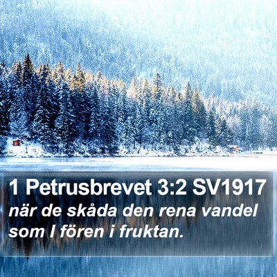 1 Petrusbrevet 3:2 SV1917 Bible Verse Image