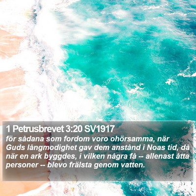 1 Petrusbrevet 3:20 SV1917 Bible Verse Image