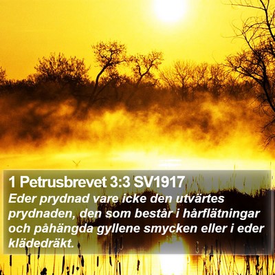 1 Petrusbrevet 3:3 SV1917 Bible Verse Image