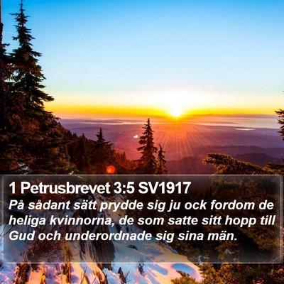 1 Petrusbrevet 3:5 SV1917 Bible Verse Image