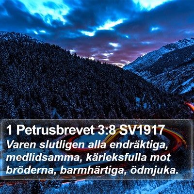 1 Petrusbrevet 3:8 SV1917 Bible Verse Image
