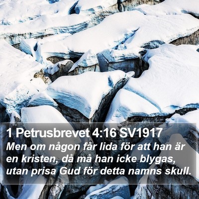 1 Petrusbrevet 4:16 SV1917 Bible Verse Image