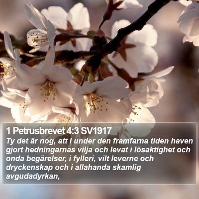 1 Petrusbrevet 4:3 SV1917 Bible Verse Image