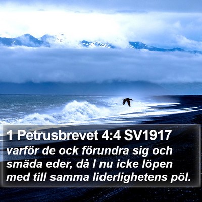 1 Petrusbrevet 4:4 SV1917 Bible Verse Image