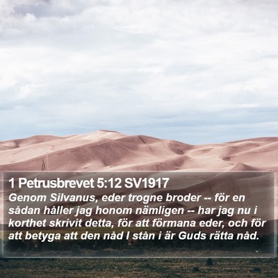 1 Petrusbrevet 5:12 SV1917 Bible Verse Image