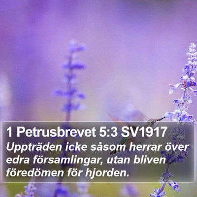 1 Petrusbrevet 5:3 SV1917 Bible Verse Image