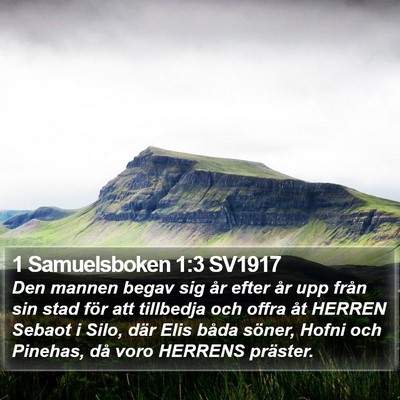 1 Samuelsboken 1:3 SV1917 Bible Verse Image