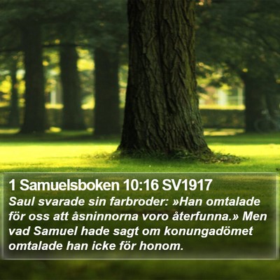 1 Samuelsboken 10:16 SV1917 Bible Verse Image