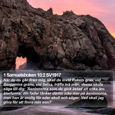 1 Samuelsboken 10:2 SV1917 Bible Verse Image