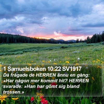 1 Samuelsboken 10:22 SV1917 Bible Verse Image
