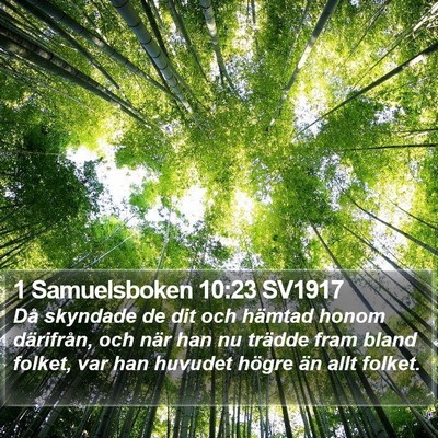 1 Samuelsboken 10:23 SV1917 Bible Verse Image