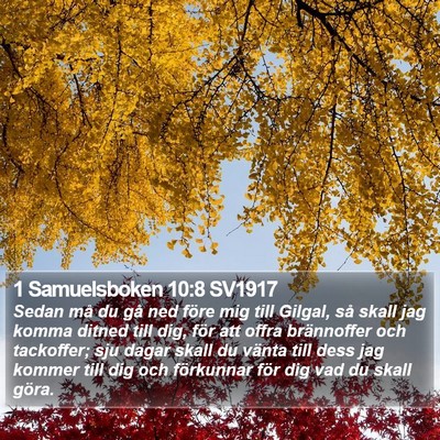 1 Samuelsboken 10:8 SV1917 Bible Verse Image