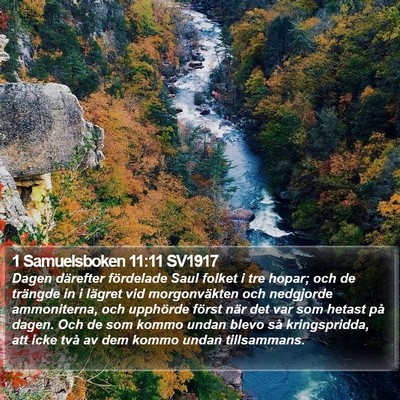 1 Samuelsboken 11:11 SV1917 Bible Verse Image