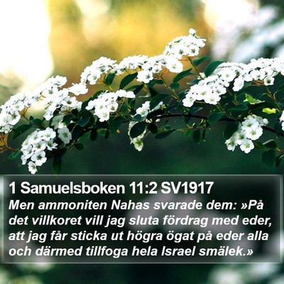 1 Samuelsboken 11:2 SV1917 Bible Verse Image