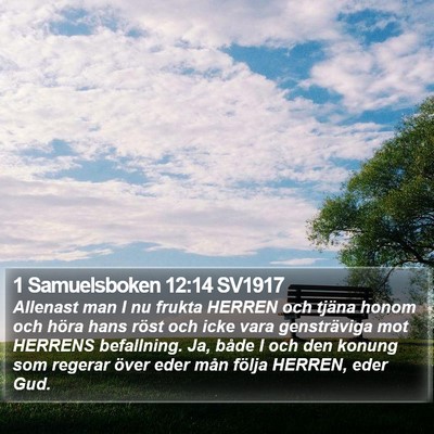 1 Samuelsboken 12:14 SV1917 Bible Verse Image
