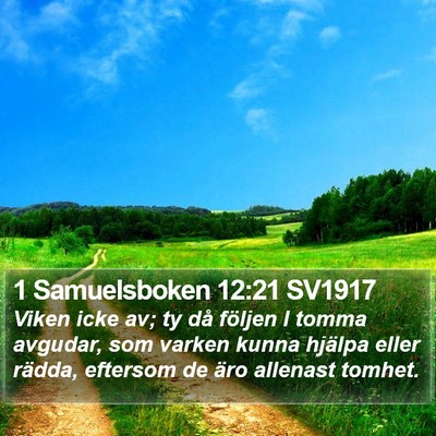 1 Samuelsboken 12:21 SV1917 Bible Verse Image