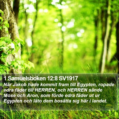 1 Samuelsboken 12:8 SV1917 Bible Verse Image