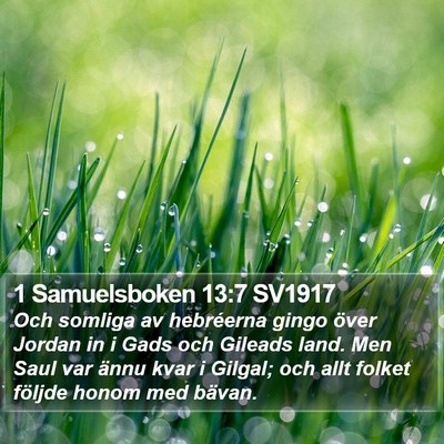 1 Samuelsboken 13:7 SV1917 Bible Verse Image