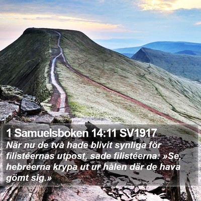 1 Samuelsboken 14:11 SV1917 Bible Verse Image
