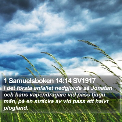 1 Samuelsboken 14:14 SV1917 Bible Verse Image