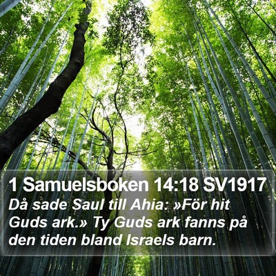 1 Samuelsboken 14:18 SV1917 Bible Verse Image
