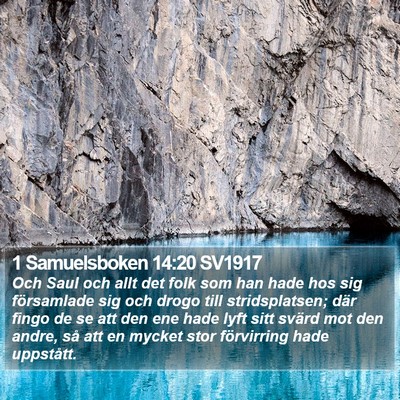 1 Samuelsboken 14:20 SV1917 Bible Verse Image