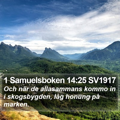 1 Samuelsboken 14:25 SV1917 Bible Verse Image