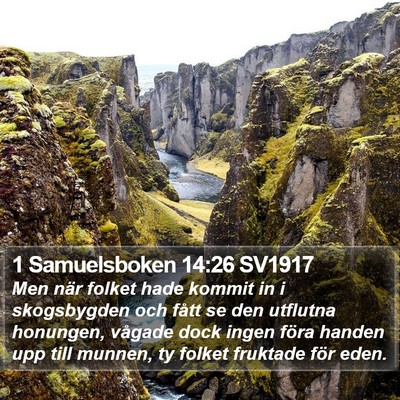 1 Samuelsboken 14:26 SV1917 Bible Verse Image