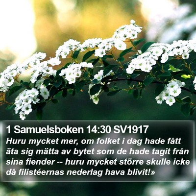1 Samuelsboken 14:30 SV1917 Bible Verse Image