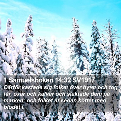 1 Samuelsboken 14:32 SV1917 Bible Verse Image