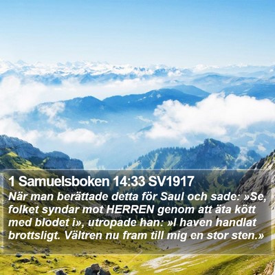 1 Samuelsboken 14:33 SV1917 Bible Verse Image