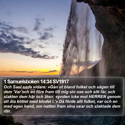 1 Samuelsboken 14:34 SV1917 Bible Verse Image