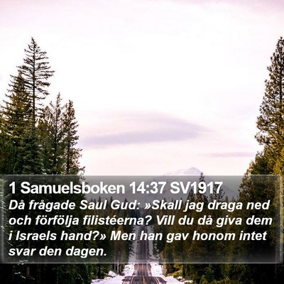 1 Samuelsboken 14:37 SV1917 Bible Verse Image