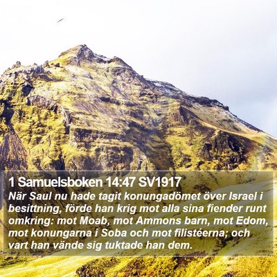 1 Samuelsboken 14:47 SV1917 Bible Verse Image