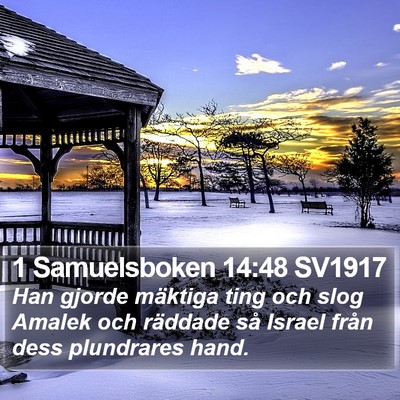 1 Samuelsboken 14:48 SV1917 Bible Verse Image