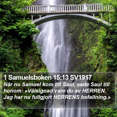 1 Samuelsboken 15:13 SV1917 Bible Verse Image